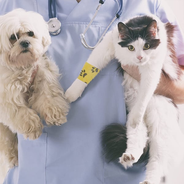 Nastro adesivo per animali domestici