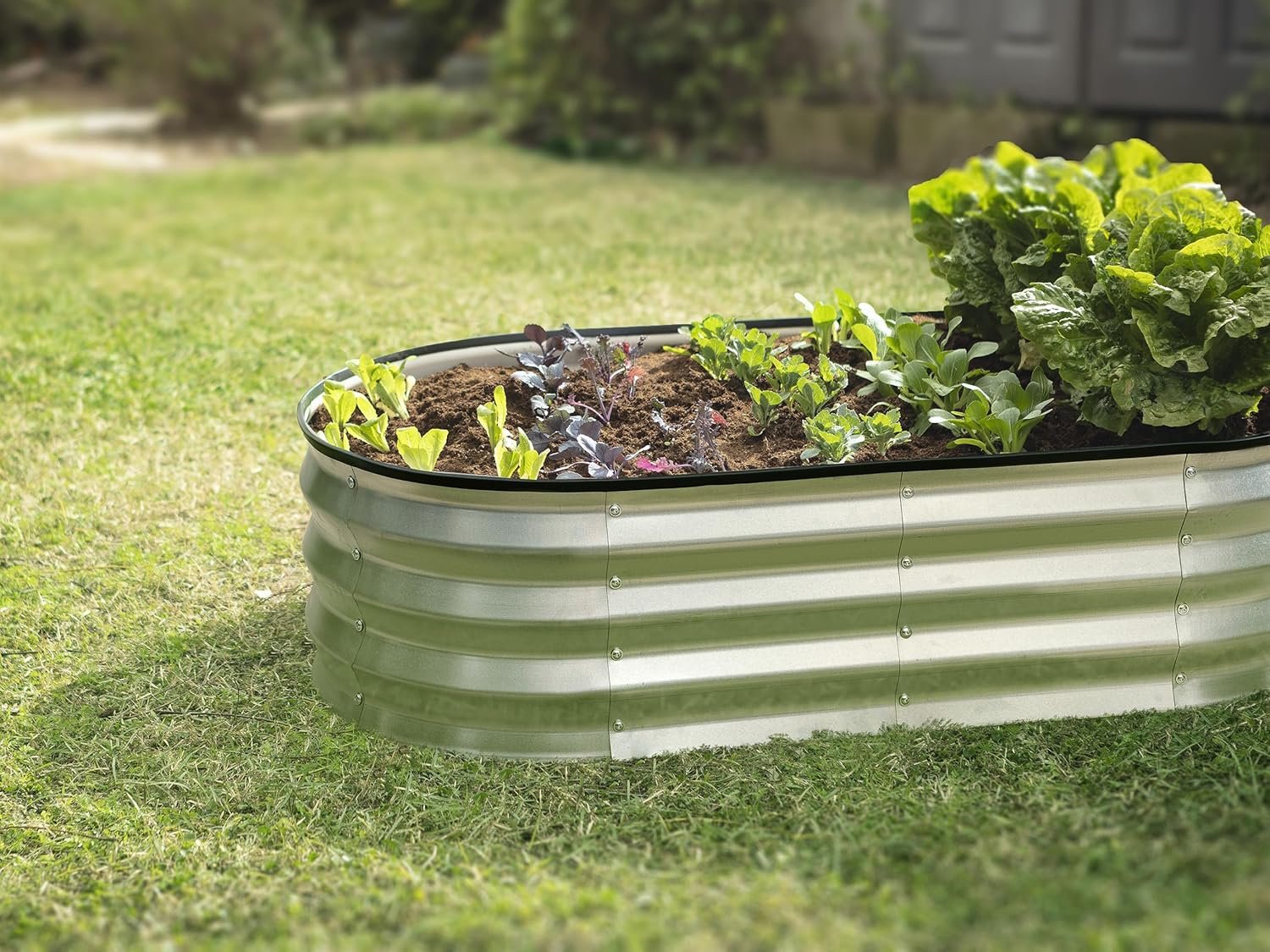 Sakerplus Galvanized Raised Garden Beds
