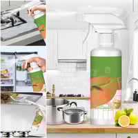 Electrolyzed Ion Kitchen Cleaner Spray