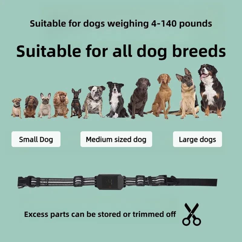 Dog Training Collar