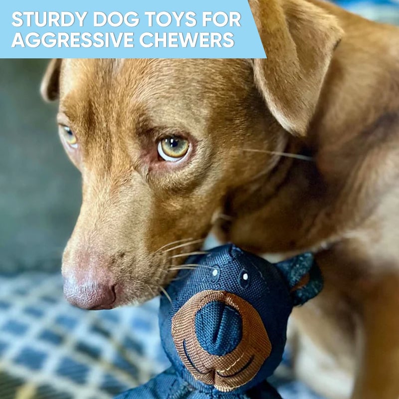 Mighty Bear Pet Toy
