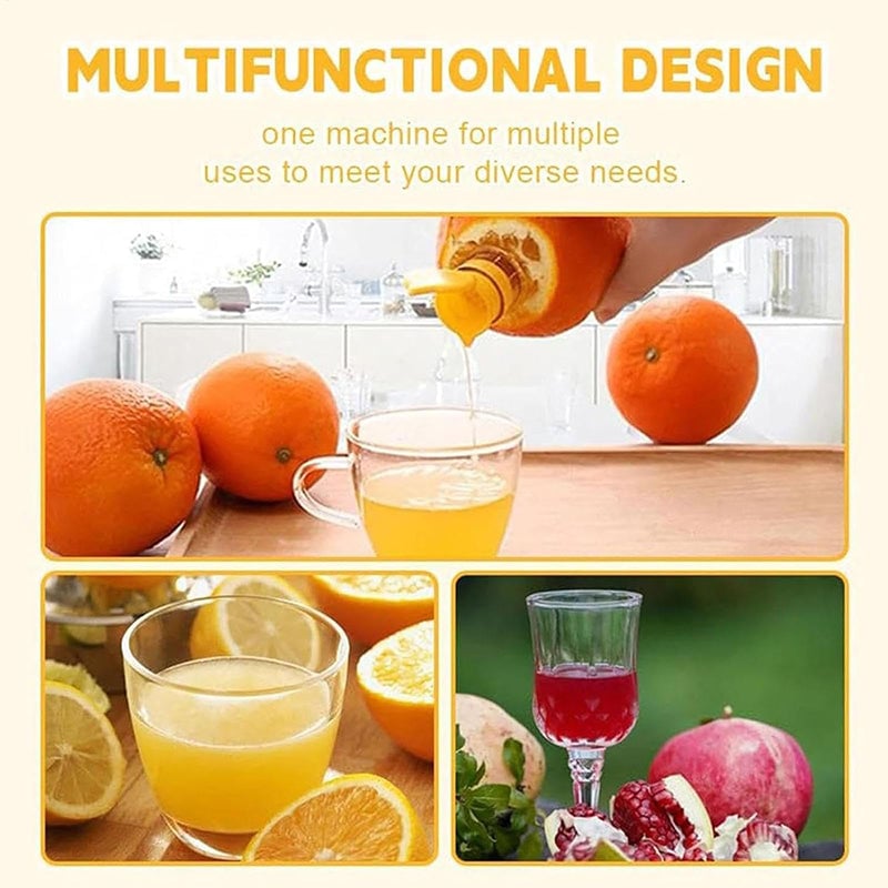 Mini manual fruit juicer