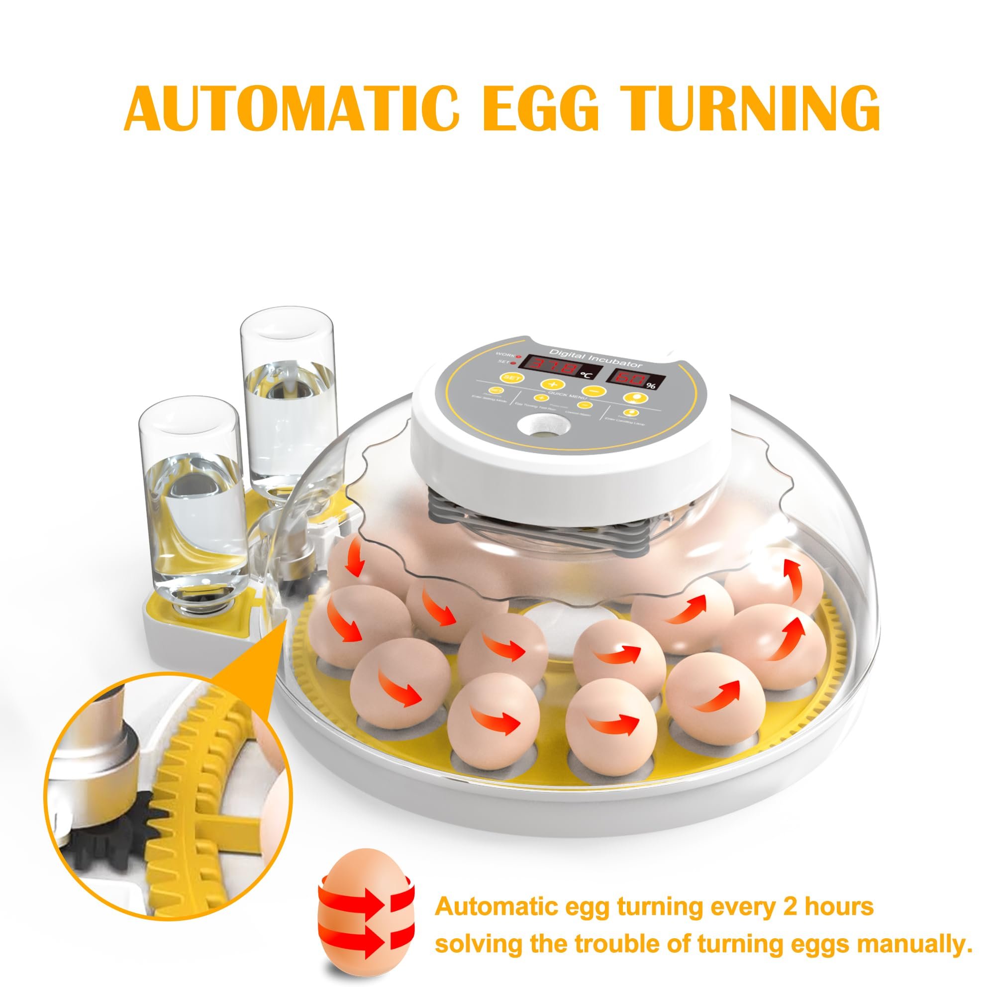 Egg Incubator