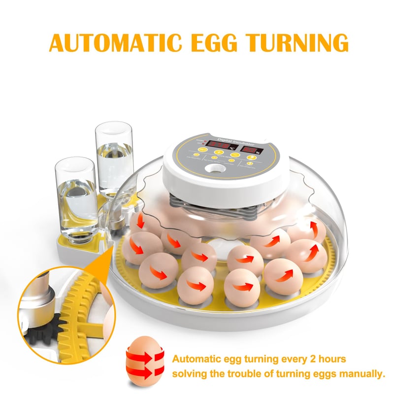 Egg Incubator