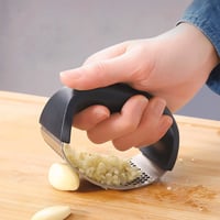 Stainless Steel Garlic Press