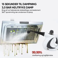 Sakerplus desinficerende damprenser