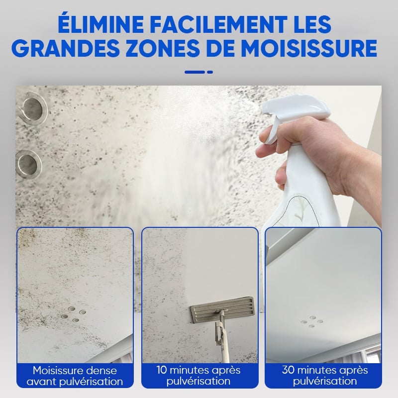 Spray Nettoyant Mural Anti-Moisissure à Action Rapide
