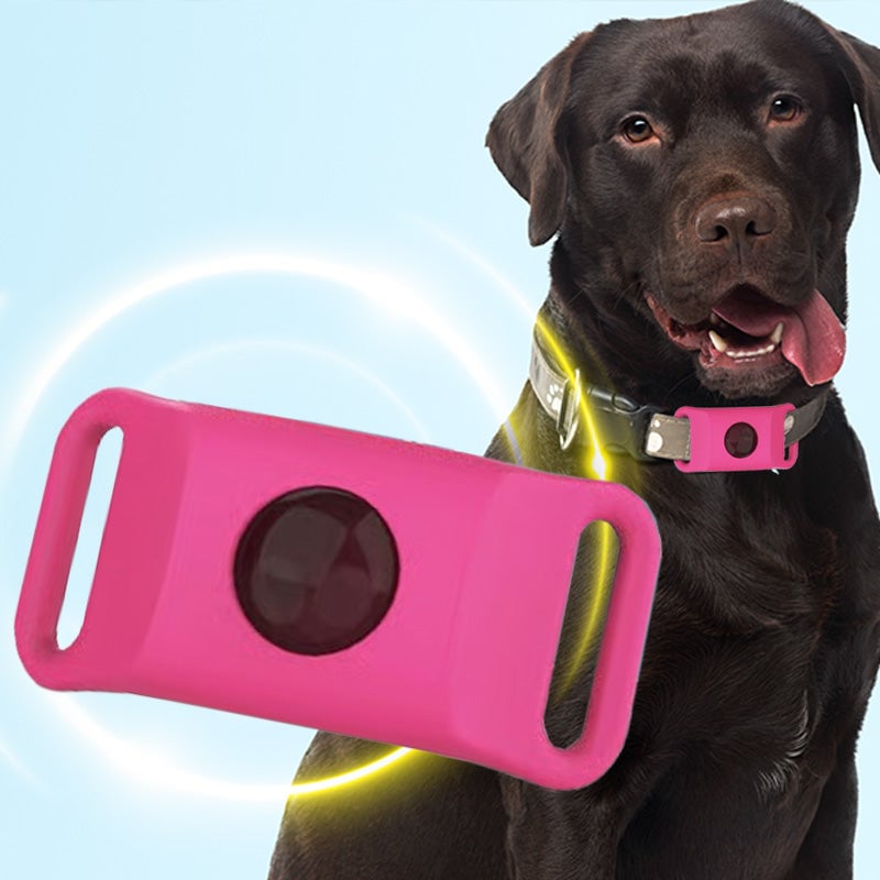 Sale- 12 Months Flea and Tick Free