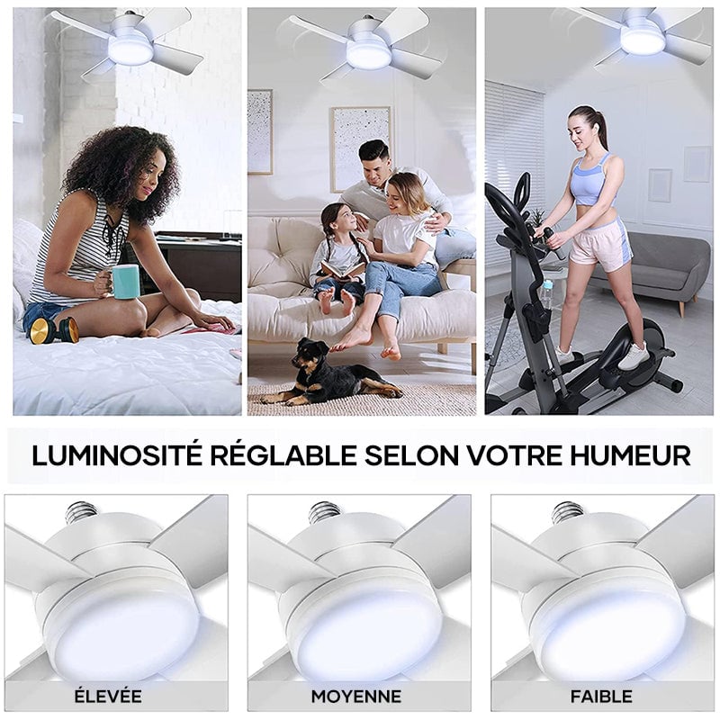 Ventilateur de plafond LED 2 en 1 avec télécommande, base E27E26/B22