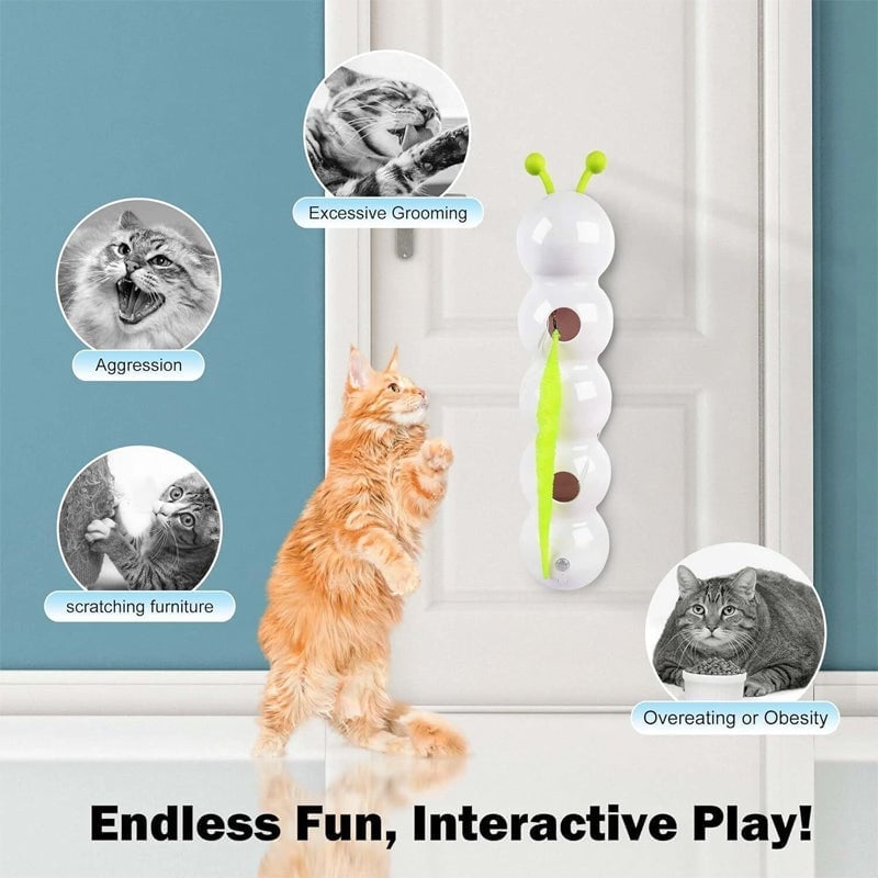 🐱Interactive Electric Caterpillar Cat Toy