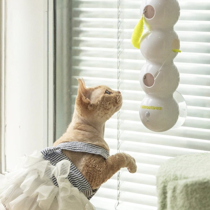 🐱Interactief Elektrisch Rups Speelgoed