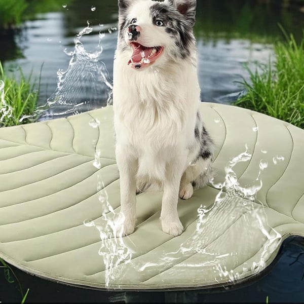 9_c377d3c8-e784-4633-a11b-9715631051e4