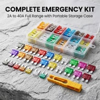 Assorted Automotive Blade Fuse Set