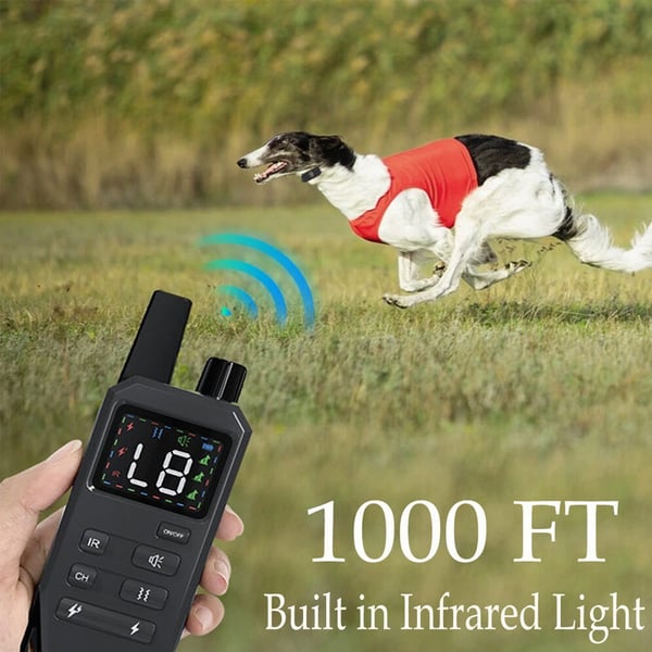 2_6c124664-1d0b-4b72-9024-37bd05234a75