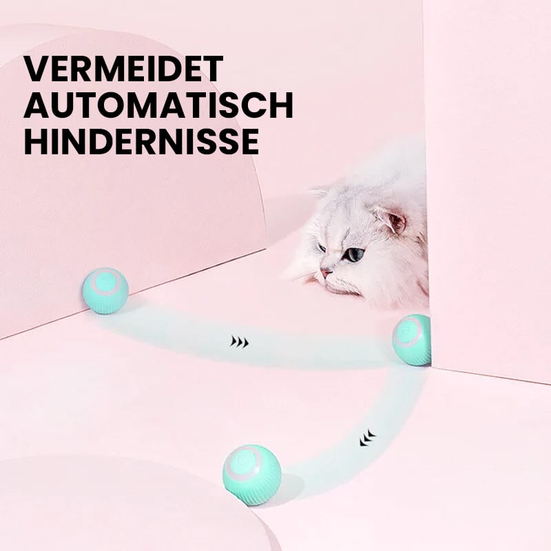 🐱Elektrisches Katzenspielzeug