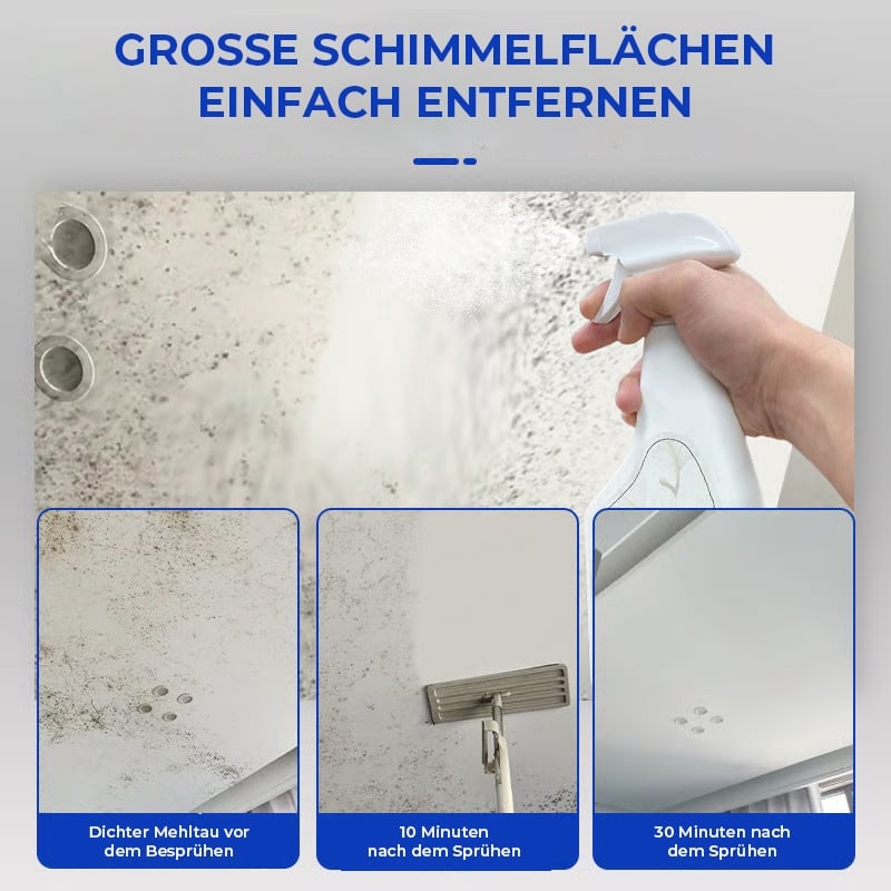 Schnell wirkendes Anti-Schimmel-Wandreinigungsspray