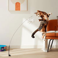 Ventouse Plume Magique - Ultra Stable