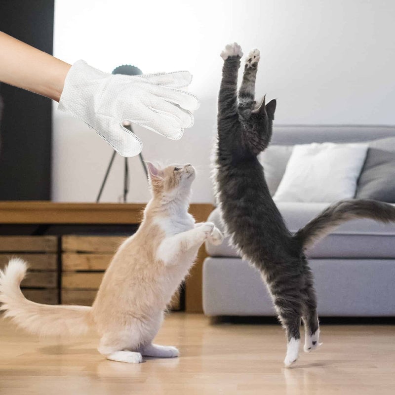 Pet Glove Wipes för Hundar & Katter