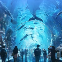 Leistungsstarke Aquarium-Wasserreinigungstablette