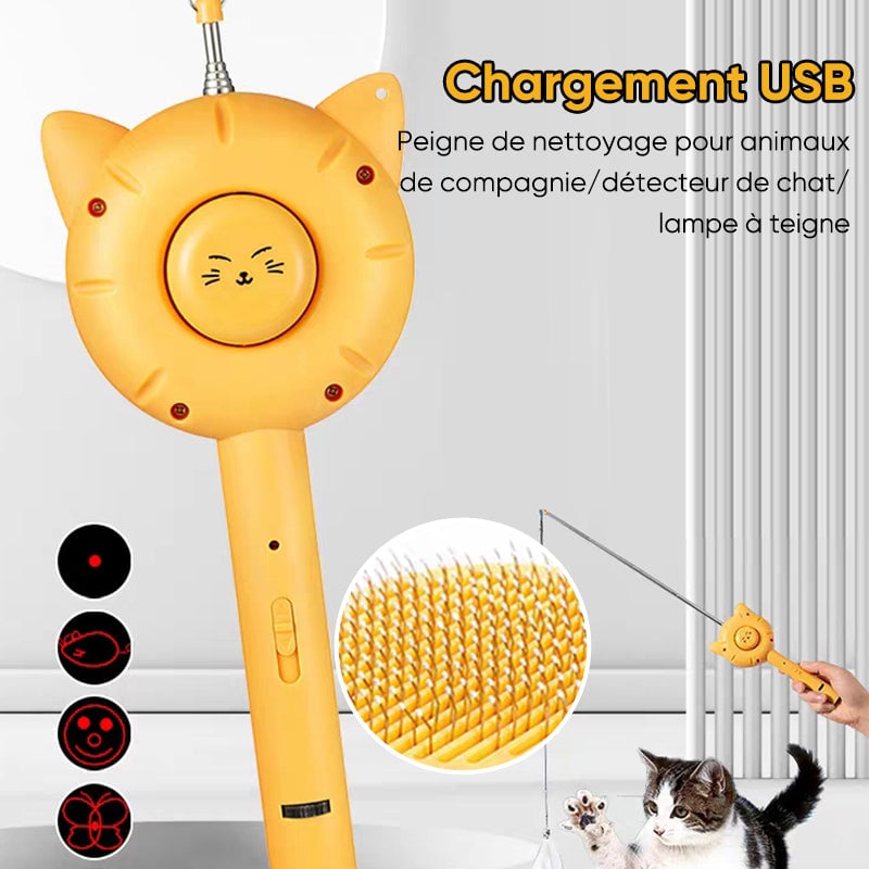 Peigne multifonctions pour animaux de compagnie
