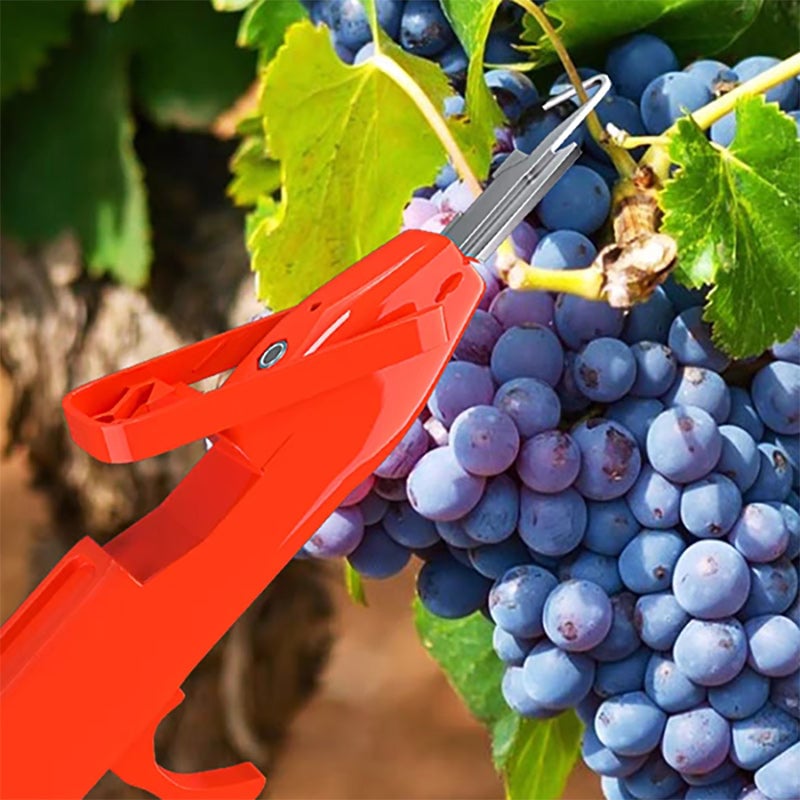 Outils efficaces de collecte de poivre