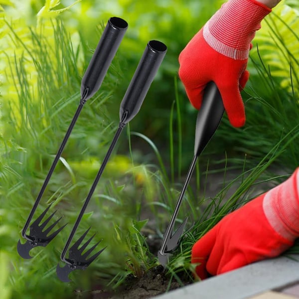 2_dcee75e3-69bd-4403-b1a6-aebe24eb99ae