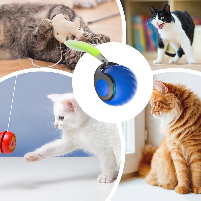 8641e4d9-18ca-49be-3383-3e00b2f6bd00