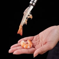 Coltello multifunzionale per fauci di pesce con linea di gamberetti 5 in 1
