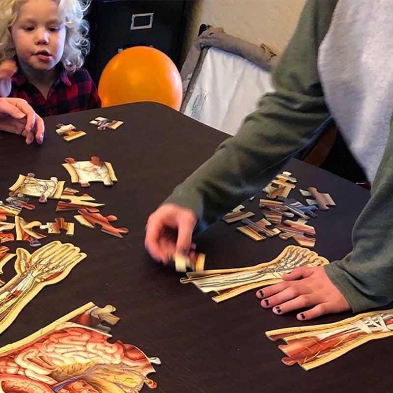 Human Anatomy Puzzle for Kids