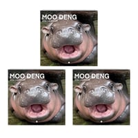 Moo Deng Kalender | Kalender 2025-1
