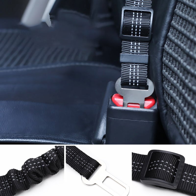 86dd41ce-f06a-4286-0ab9-b4f658ab7000