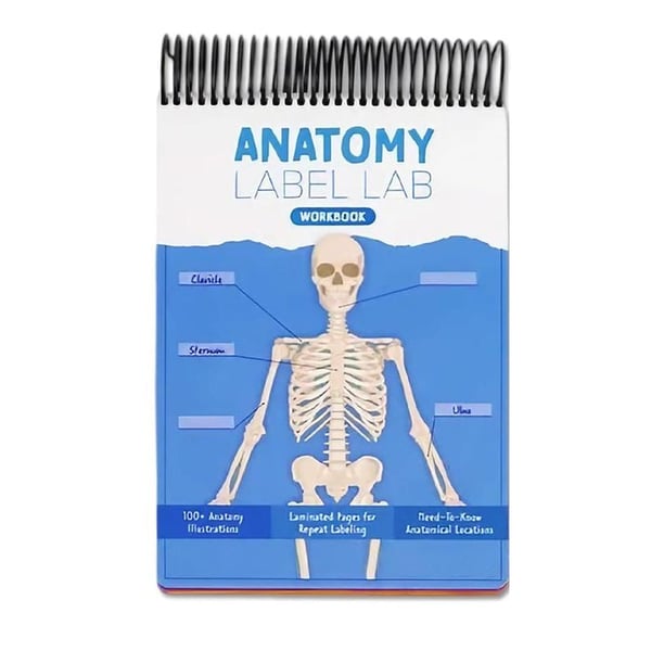 Anatomy Label Workbook