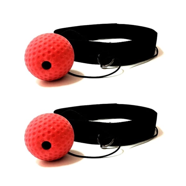 Boxing Fight Ball for Improving Reaction Speed