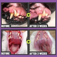 Teeth Cleaning Spray for Dogs & Cats
