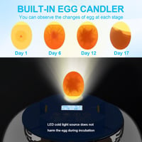 18-Egg Incubator