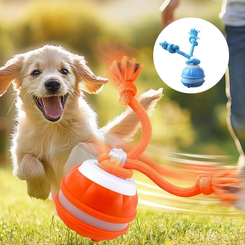 Interactive Smart Rolling Pet Ball