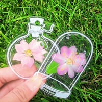 🌸Gedroogde Bloem Bladwijzers Set