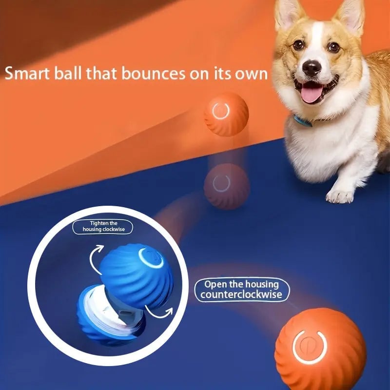 Electric Rolling Pet Toy Ball