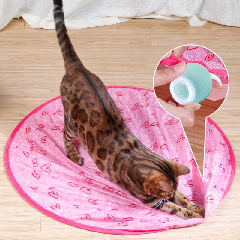 【GROTE UITVERKOOP】Slimme Katten Interactieve Bal Speelgoed