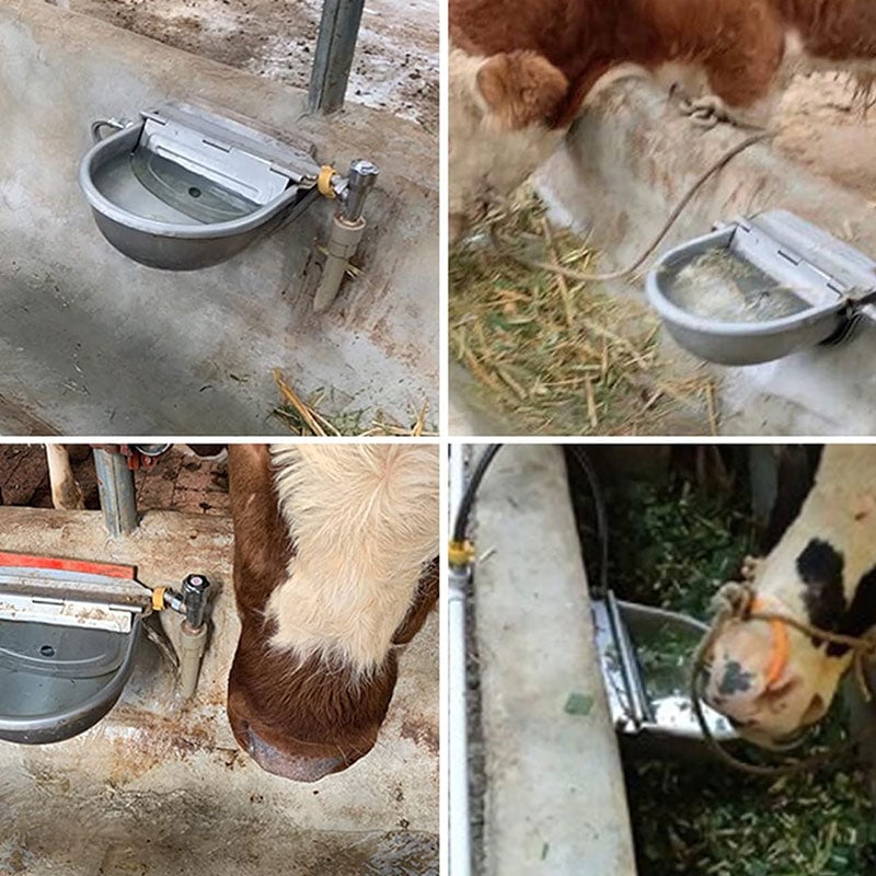 Livestock & Pet Drinking Bowls