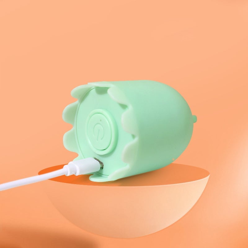 Katzenspielzeug für den Innenbereich