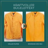 Professionelles Mikro-Dampfbügeleisen