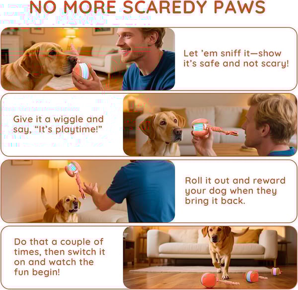 4_12b62570-a2fb-402a-8167-bb670514e8bc