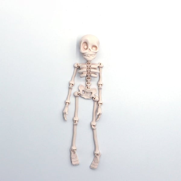 Skeleton Refrigerator Magnet