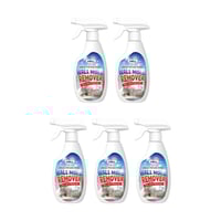 Wall Mold Remover Spray