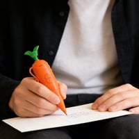 Portable Carrot Voice Recorder Ballpoint Pen