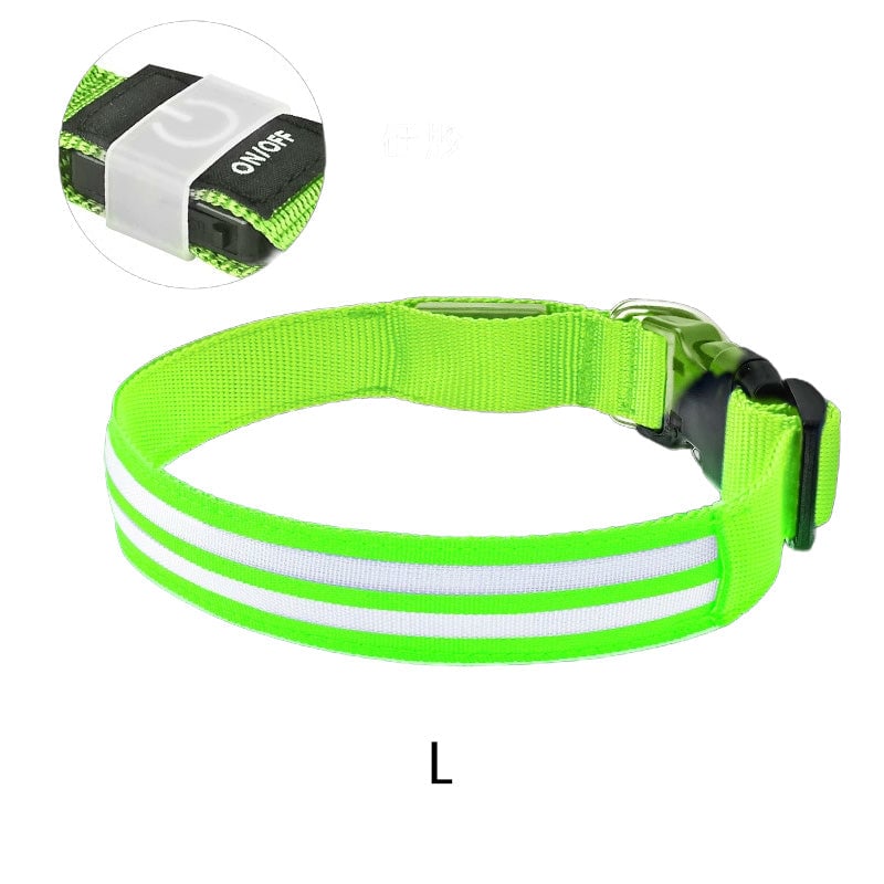 Dual Fiber Nighttime Luminous Dog Collar