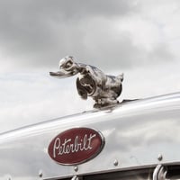Angry Rubber Duck Hood Ornament