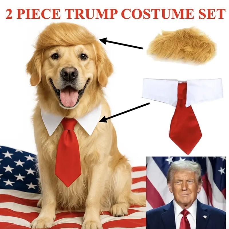 Doggy gentleman bow tie