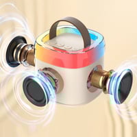 Wireless Karaoke Speaker with Microphone